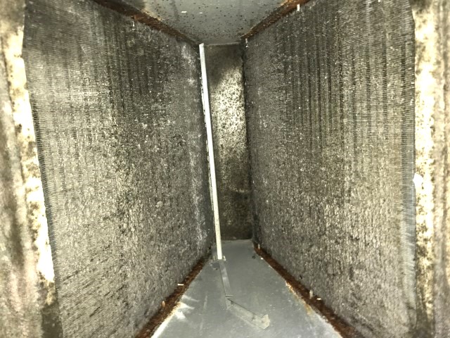 Dirty evaporator coils in air handler
