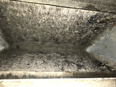 Dirty evaporator coils in furnace